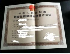 转让融资担保代办典当行、小额贷公司转让保险代理公司